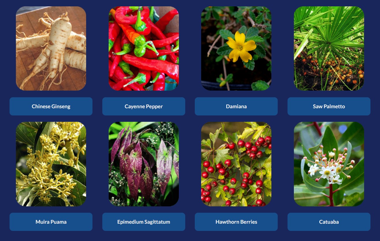 Protoflow Ingredients